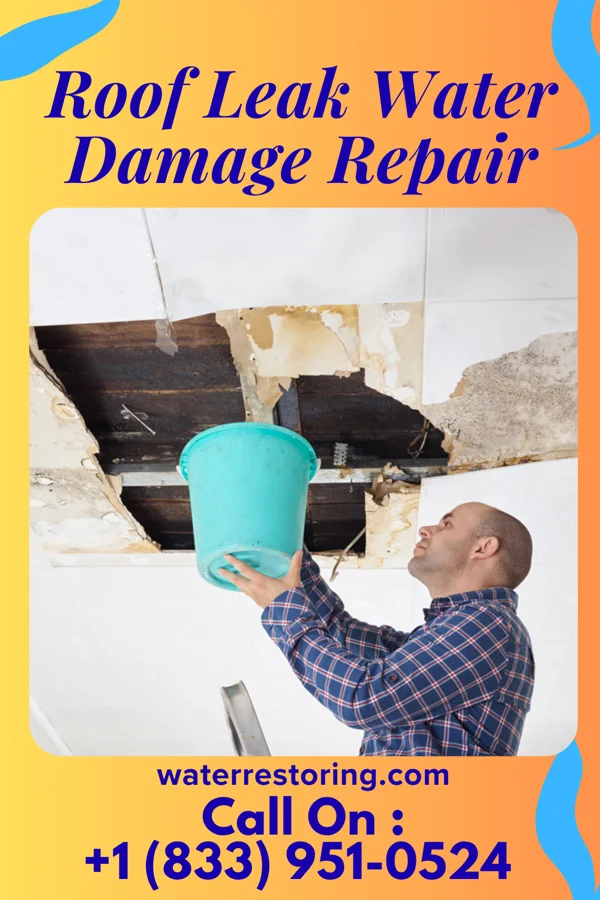 Roof Leak Water Damage Repair in Climax, MN